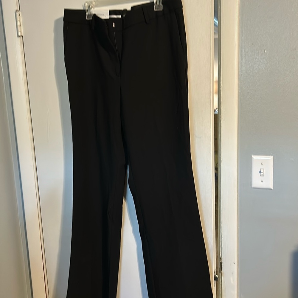Brand new Ann Taylor the Madison Flare